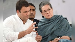 National Herald Case 'Prima Facie' Made Out Against Sonia, Rahul Gandhi: Probe Agency