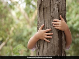 Chipko Movement: When Villagers Hugged Trees To Save Them From Cutting Chipko Movement: When Villagers Hugged Trees To Save Them From Cutting