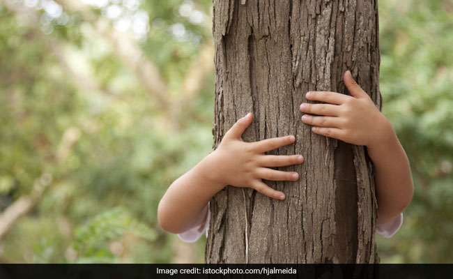 Chipko Movement: In 1970 Chipko Andolan, People Hugged Trees To ...