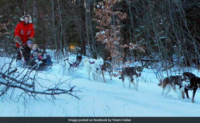 US Pianist Went Dog-Sledding. His Finger "Broke Like A Twig" In Accident