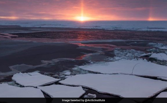 Emergence Of Deadly Virus May Be Linked To Melting Arctic Sea Ice: Study