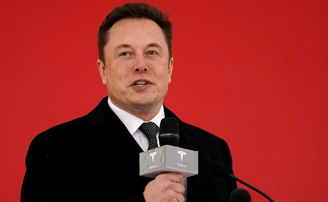 "Dear Mr. Unicorn": Elon Musk, Greenlight CEO Taunt Each Other On Twitter