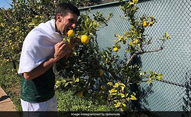 Some Life Advice From World Number 1, Novak Djokovic. Note This Down