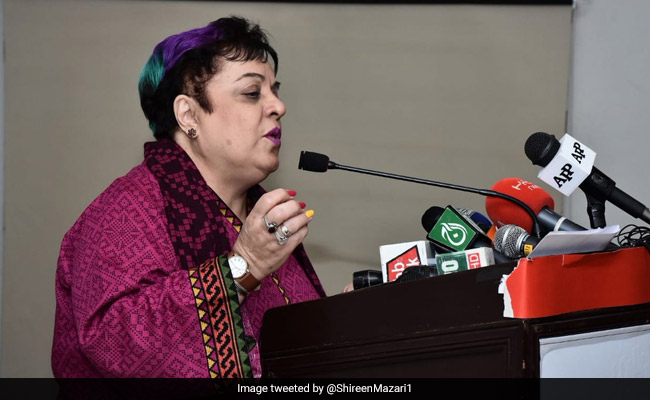 Pakistan Minister Brands US Envoy "Little Pygmy" In Twitter Row