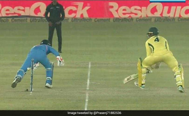 एमएस धोनी को कॉपी कर रहे थे ऋषभ पंत, देखकर गुस्सा गए विराट कोहली, लगे- धोनी-धोनी के नारे, देखें Video