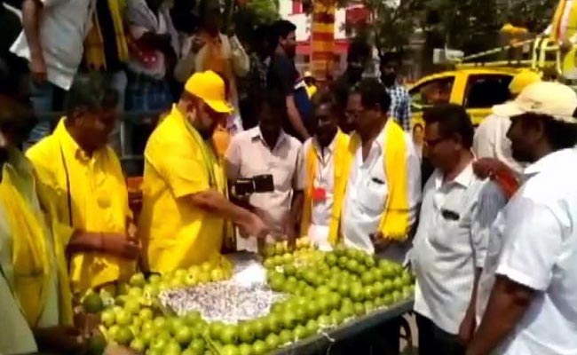 TDP Leader Sells Guavas For Support In Lok Sabha Election
