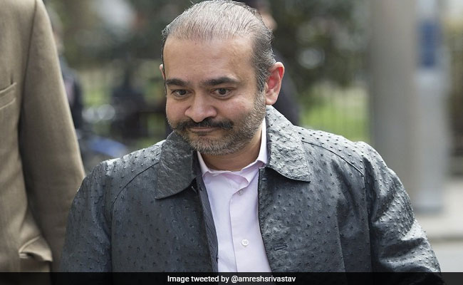 भगोड़े नीरव मोदी ने पहन रखा था शुतुरमुर्ग के चमड़े का कोट, चौंकाने वाली है कीमत