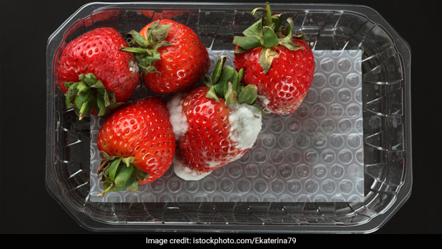 Moldy Food: Can You Salvage It?