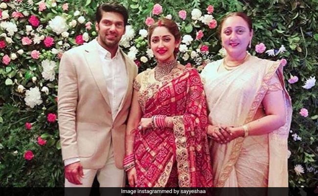 Pics From Saira Banu's Grandniece Sayyeshaa Saigal And Arya's Chennai Reception
