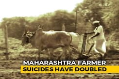 Farmer Suicides Doubled In Maharashtra In Last 4 Years, Shows RTI Reply Farmer Suicides Doubled In Maharashtra In Last 4 Years, Shows RTI Reply