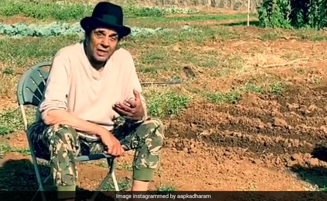 धर्मेंद्र के खेत में उगे लाल टमाटर और बैंगन, फैन्स को Flying Kiss देते हुए बोले - मैं तो इसी में खुश!