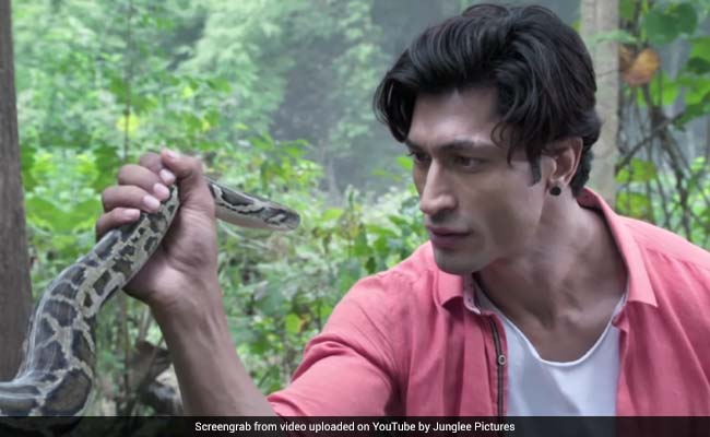 Junglee Trailer: विद्युत जामवाल अजगर से यूं करते हैं बात, धांसू एक्शन से भरपूर 'जंगली' का ट्रेलर