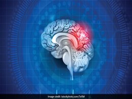 World Alzheimer's Day 2021: अल्जाइमर के खतरे को कम कर याददाश्त बढ़ाने के लिए रोजाना खाएं ये 6 चीजें World Alzheimer's Day 2021: अल्जाइमर के खतरे को कम कर याददाश्त बढ़ाने के लिए रोजाना खाएं ये 6 चीजें