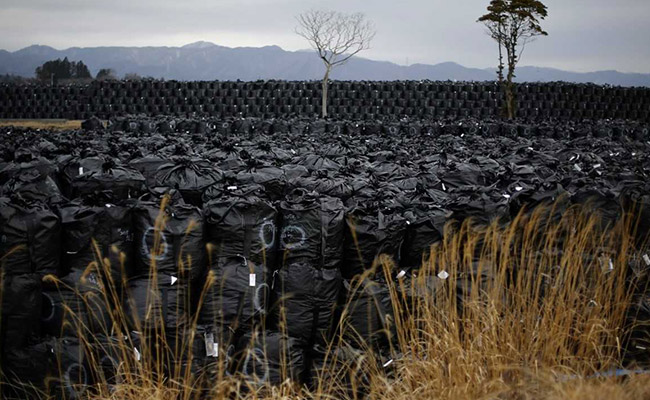 Radioactive Contaminants From Fukushima Found At Alaska's Bering Strait