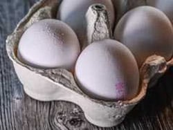 West Bengal Cabinet Approves Eggs For Women And Children In Anganwadi Centres