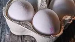 West Bengal Cabinet Approves Eggs For Women And Children In Anganwadi Centres