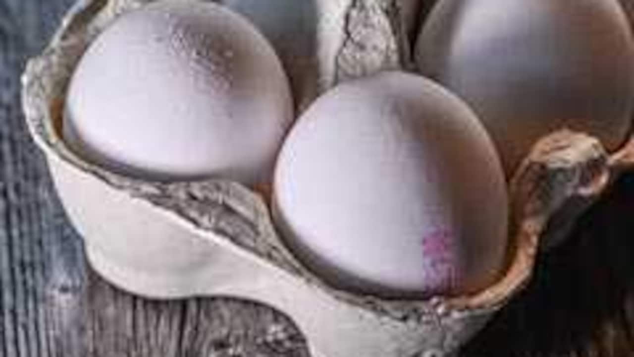 West Bengal Cabinet Approves Eggs for Women and Children in Anganwadi