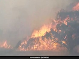 Australia Fire: Australian Bushfires May Continue For Weeks As No Rain Expected For Next 3 Months, Says Weather Office Australia Fire: Australian Bushfires May Continue For Weeks As No Rain Expected For Next 3 Months, Says Weather Office