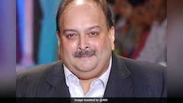 Chargesheet To Be Filed Against Mehul Choksi's Son, "Fugitive" Tag Likely