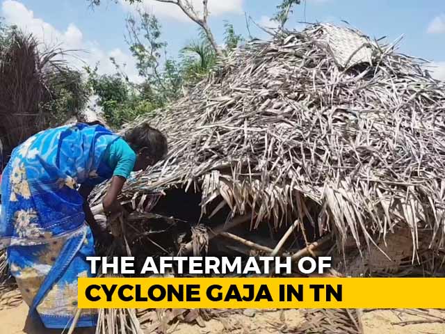 Bonded Labour, Trafficking 4 Months After Cyclone Gaja Devastation