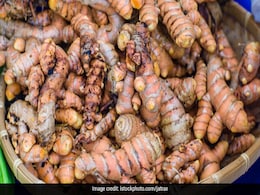 Black Turmeric (Curcuma caesia): Did You Know Yellow Haldi Has A Blackish Blue Cousin? Black Turmeric (Curcuma caesia): Did You Know Yellow Haldi Has A Blackish Blue Cousin?