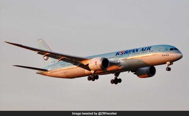 Teen Allergic To Peanuts, Brother Removed From Korean Plane: Report