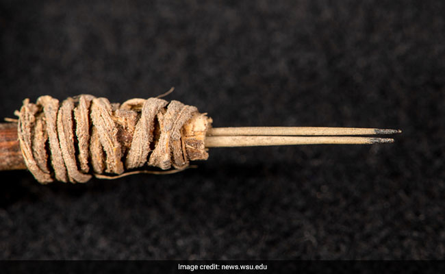 Oldest Tattoo Tool, Made Around 2,000 Years Ago, Found In US