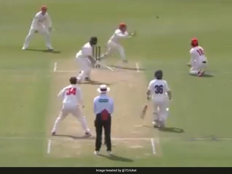 Sheffield Shield: Will Pucovski's Unlucky Dismissal On 82 - Watch