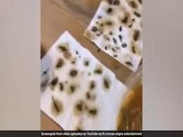 Woman Finds More Than 40 Dead Cockroaches In Takeaway Meal Woman Finds More Than 40 Dead Cockroaches In Takeaway Meal