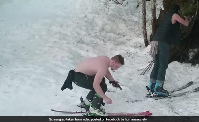 Video Captures Father, Son Brutally Killing Bear And Her Cubs In Alaska