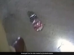 10 रुपए महंगी बियर की बोतल बेचने पर बदमाश ने मारी गोली, सेल्समैन की हुई मौत- Video 10 रुपए महंगी बियर की बोतल बेचने पर बदमाश ने मारी गोली, सेल्समैन की हुई मौत- Video