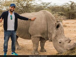 World Wildlife Day: Rohit Sharma Vows To Speak Up For Those Who "Don't Have A Voice" World Wildlife Day: Rohit Sharma Vows To Speak Up For Those Who "Don't Have A Voice"