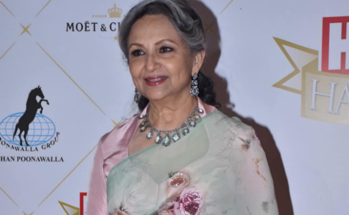 "Removed From Reality": Top Court Schools Sharmila Tagore On Stray Dogs