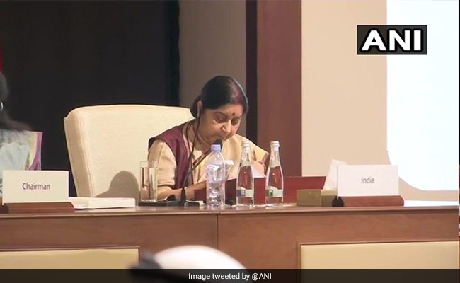 Sushma Swaraj's Speech At Islamic Nations (OIC) Meet: Highlights