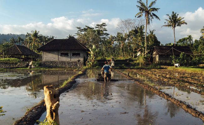 Groundwater Depletion In India Major Concern, Warns Report