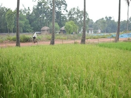 Not Signed Up To COP26 Action Agenda On Sustainable Agriculture: India Not Signed Up To COP26 Action Agenda On Sustainable Agriculture: India