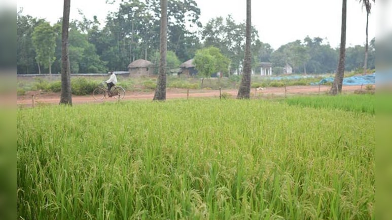 PMFBY में बड़ा बदलाव: अब जंगली जानवरों और धान जलभराव से फसल नुकसान का मिलेगा बीमा कवर, सरकार ने नई प्रक्रिया मंज़ूर की