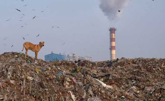 Green Court Asks Delhi Civic Body To Resolve Landfill Site Issue With DDA