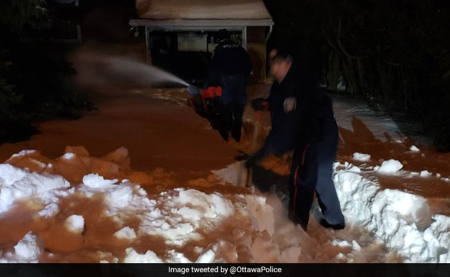 Canada Police Rescue Man Trapped At Home For Weeks By Snow