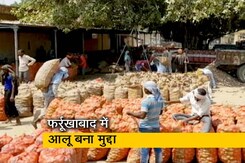 फ़र्रूख़ाबाद लोकसभा सीट पर कांटे की टक्कर, आलू बना बड़ा मुद्दा फ़र्रूख़ाबाद लोकसभा सीट पर कांटे की टक्कर, आलू बना बड़ा मुद्दा