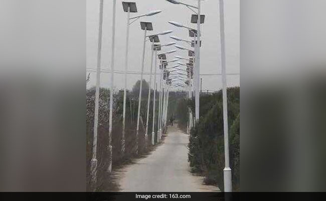 Why This Village Has Lit Up A 3 Km Road With Over 1,000 Street Lights