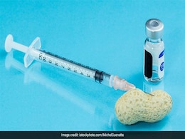 Study Claims That Children Who Are Allergic To Peanuts Can Go For Oral Immunotherapy Study Claims That Children Who Are Allergic To Peanuts Can Go For Oral Immunotherapy