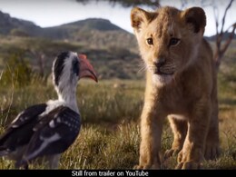 <I>Lion King</I> Trailer: Beyonce's Excitement To An Altered Scar, 5 Takeaways <I>Lion King</I> Trailer: Beyonce's Excitement To An Altered Scar, 5 Takeaways