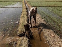 क्यों ग़ायब हैं किसानों के मुद्दे किसानों के ही देश से...? क्यों ग़ायब हैं किसानों के मुद्दे किसानों के ही देश से...?