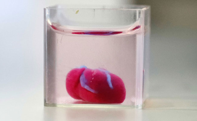 Now, The First Ever 3D Print Of A Heart With Human Tissue, Vessels