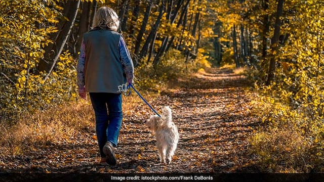 The team found that the weekly hour of exercise reduced their risk of mobility disability by 85%
