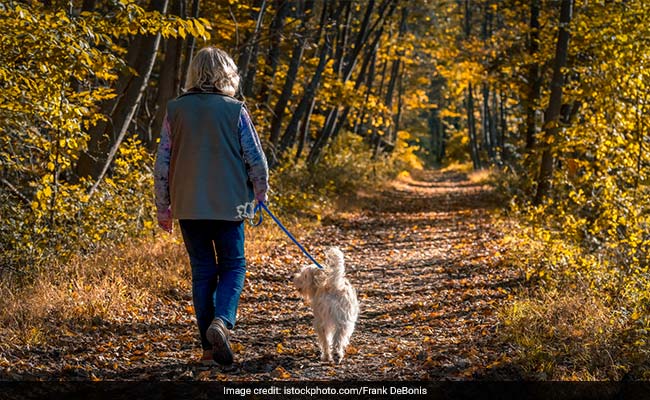 The team found that the weekly hour of exercise reduced their risk of mobility disability by 85%