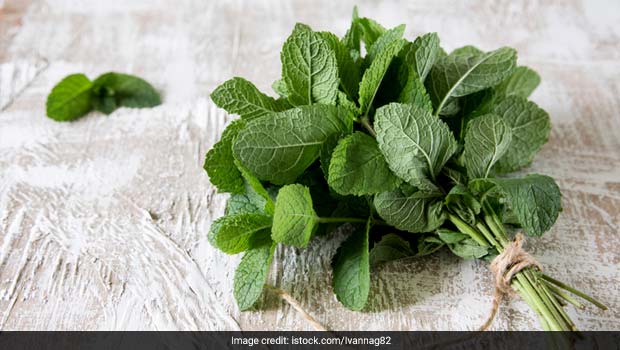 Kitchen Tips: Watch How To Store Mint (Pudina) Leaves For Up to One Year