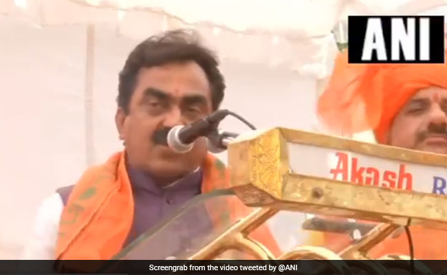 Elections 2019 - "Terrorism Is <i>Tyaag, Tapasya, Balidaan</i>": BJP Leader's Blooper At Rally