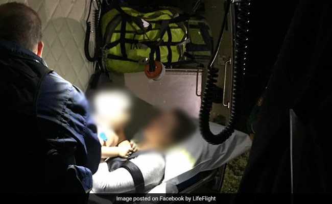 Baby Was Taken Away By Wild Dog In Australia. His Father Fought It Off